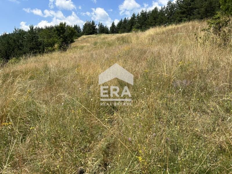 Продава ПАРЦЕЛ, с. Ягодина, област Смолян, снимка 4 - Парцели - 54368595