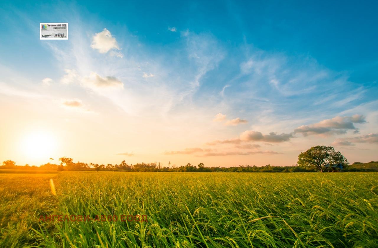 Продава ЗЕМЕДЕЛСКА ЗЕМЯ, с. Росица, област Добрич