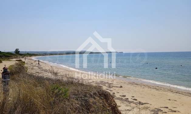 ������� ������ | Imot.bg � ����������� 12