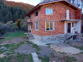 Hus Ginci, region Sofia 3