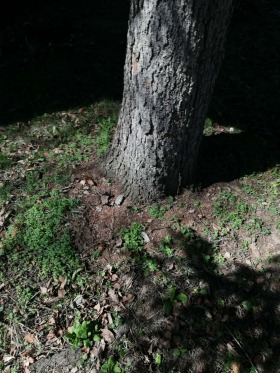 ������� ���� | Imot.bg � ����� ������ 11