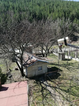 ������� ���� | Imot.bg � ����� ������ 8