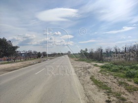 Сюжет Златитрап, область Пловдив 1