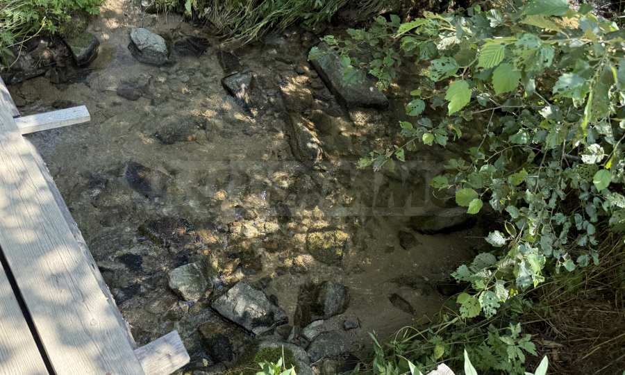 Продава КЪЩА, гр. Велинград, област Пазарджик, снимка 5 - Къщи - 53916137