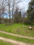 Продава ПАРЦЕЛ, с. Ясен, област Видин, снимка 3