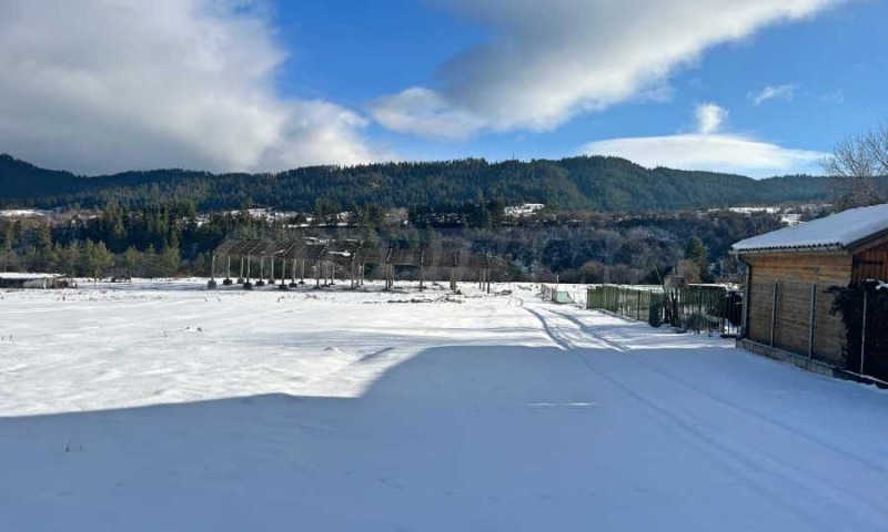 Продава ПАРЦЕЛ, с. Бели Искър, област София област, снимка 14 - Парцели - 53112673