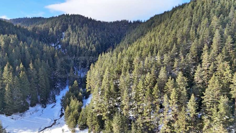 Продава ПАРЦЕЛ, с. Бели Искър, област София област, снимка 11 - Парцели - 53112673