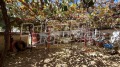 Продава КЪЩА, област Стара Загора, гр. Шипка • 117000 € • 76968218 14