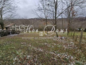 ����� ������� ������,���� �����, �-� ������� - ��