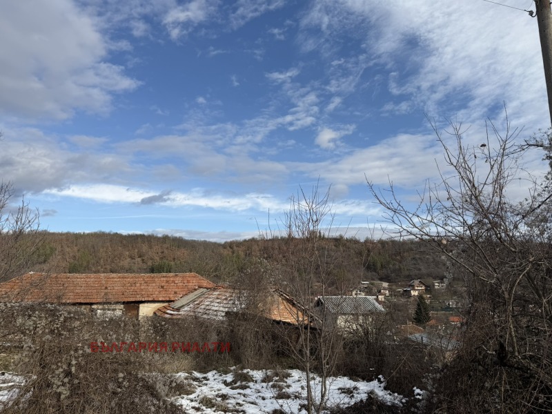 Продава ПАРЦЕЛ, с. Лобош, област Перник, снимка 6 - Парцели - 53582143