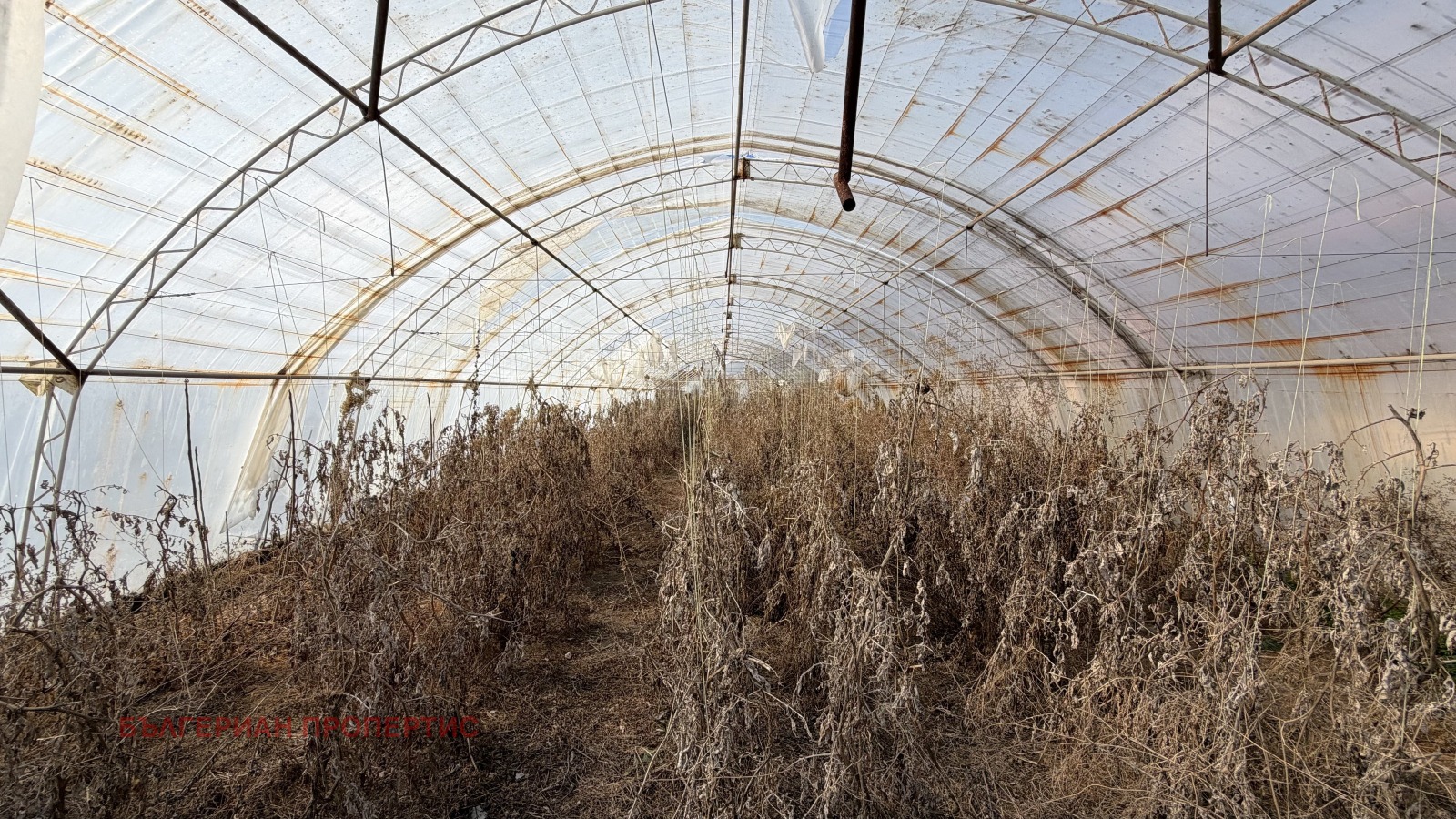 Продава КЪЩА, с. Черна гора, област Стара Загора, снимка 12 - Къщи - 53741383