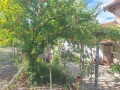 Продава КЪЩА, с. Паталеница, област Пазарджик, снимка 12