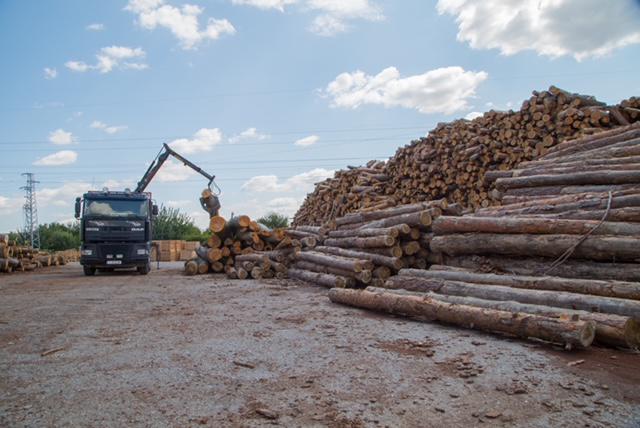 Продава ПРОМ. ПОМЕЩЕНИЕ | Imot.bg — изображение 4