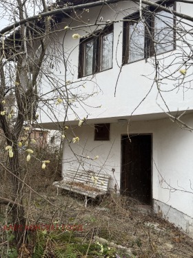 ������ ������� ����