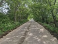 Продава ПАРЦЕЛ, гр. Пазарджик, Запад, снимка 3