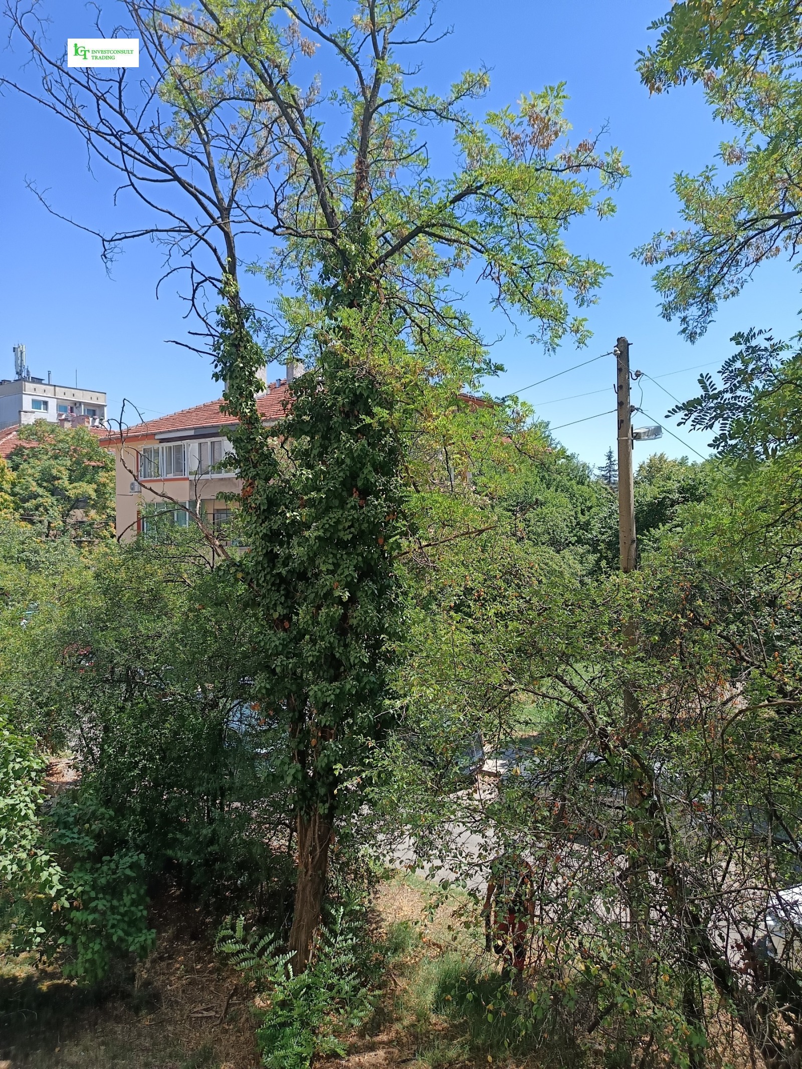 ������� 4-����� | Imot.bg � ����������� 7