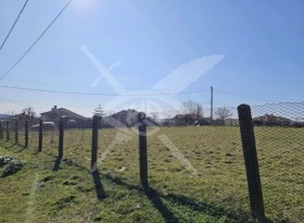 ����� ������� ������,�. ������, ������ ������