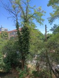 Продава  4-стаен град София , Гео Милев , 111 кв.м | 62471516 - изображение [7]