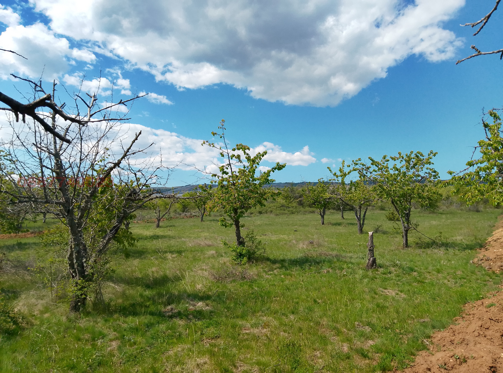 ������� ���������� ���� | Imot.bg � ����������� 2