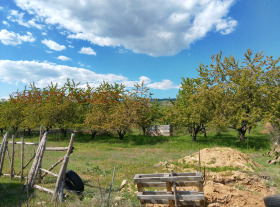 ������� ���������� ���� | Imot.bg � ����� ������ 7