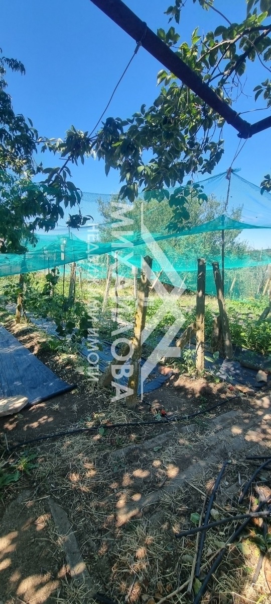 Na sprzedaż  Dom region Stara Zagora , Lozen , 80 mkw | 29409993 - obraz [7]