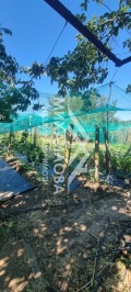 Продава КЪЩА, област Стара Загора, с. Лозен • 53000 € • 58646106 — Holmes.bg