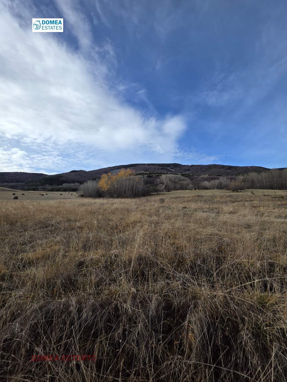 ������� ������ | Imot.bg � ����������� 1