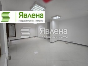   ,  , 