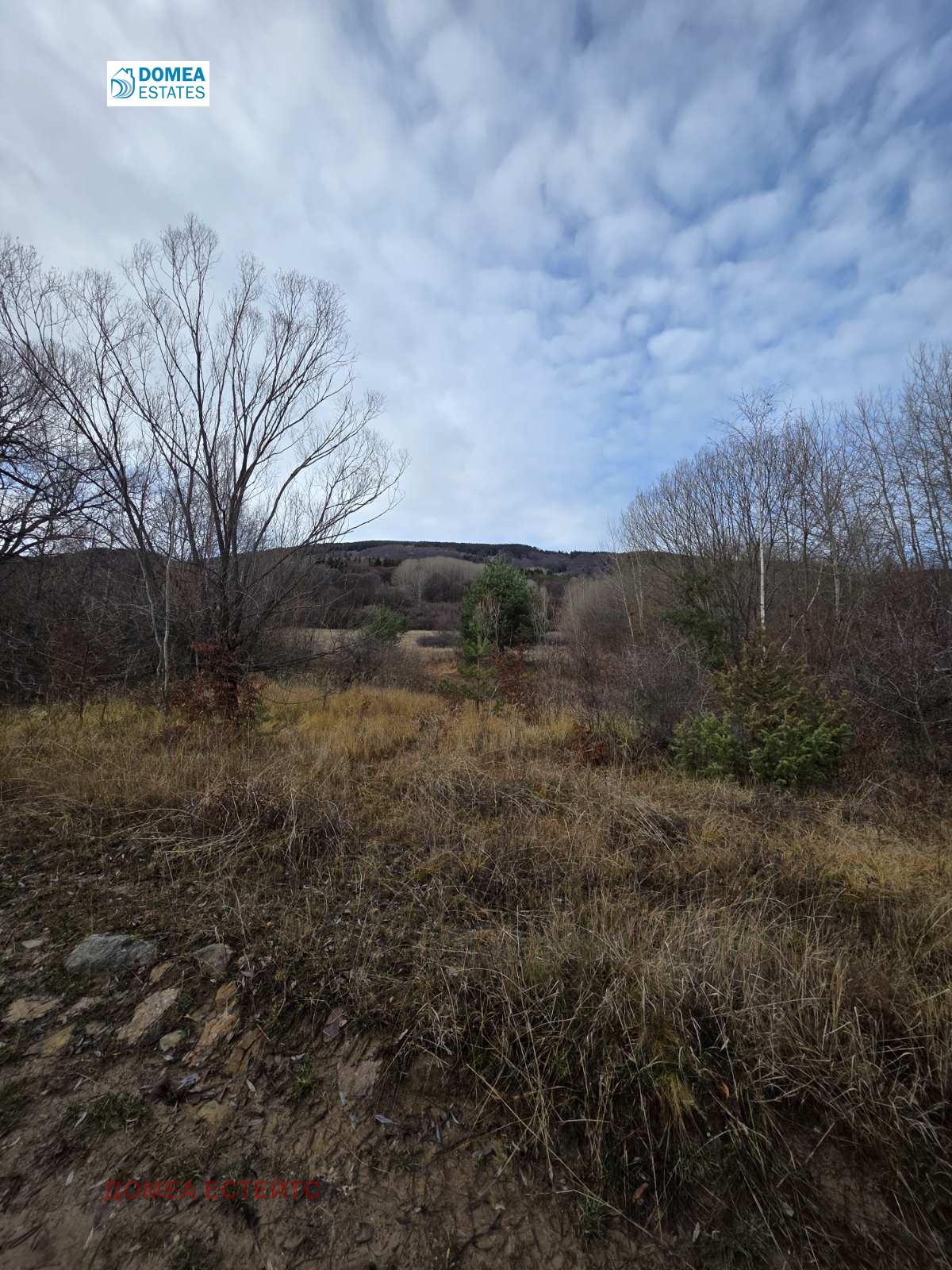 Продава ПАРЦЕЛ, гр. София, с. Бистрица, снимка 2 - Парцели - 53450120