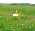 Продава ПАРЦЕЛ, град София, Суходол • 1920096 € • 98092269 — Holmes.bg