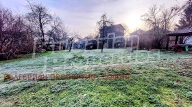 ����� ������� ������,���� �����, ����������