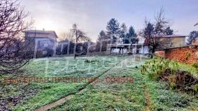 ����� ������� ������,���� �����, ����������