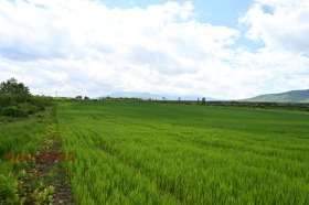 ������� ������ | Imot.bg � ����� ������ 7