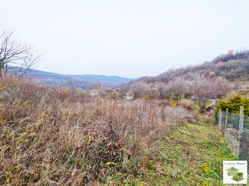 Продава ПАРЦЕЛ в област Велико Търново, с. Малки чифлик - 1801 кв.м / 50 000 € » 97 791.50 лв., СЕНТЧЪРИ ХОУМС