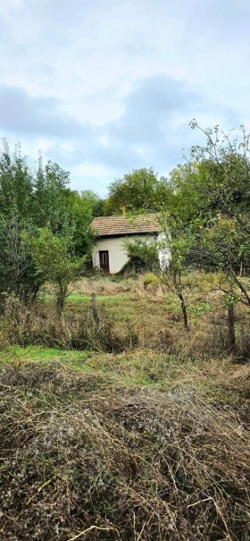 ������� ���� | Imot.bg � ����� ������ 2