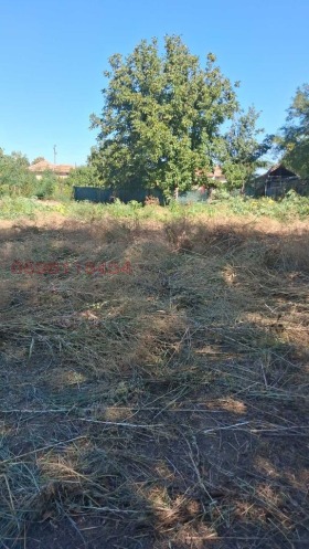 ������� ������ | Imot.bg � ����� ������ 5