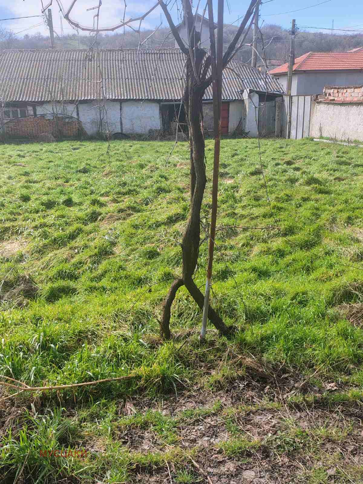 ������� ���� | Imot.bg � ����������� 2