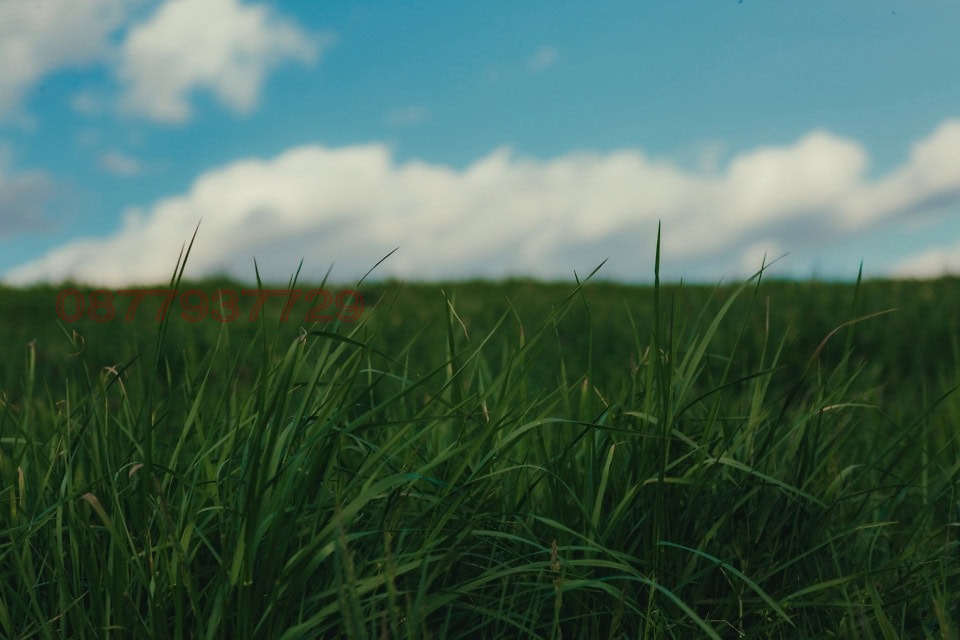 ������� ���������� ���� | Imot.bg � ����������� 1