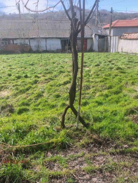 ������� ���� | Imot.bg � ����� ������ 2