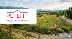 ����� ������� ������,���� �������, ��������