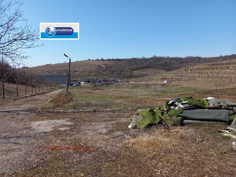 Προς πώληση  Οικόπεδο Ρυσε , β.ζ. Ρυσοφηλη , 39792 τ.μ | 15404586 - εικόνα [4]