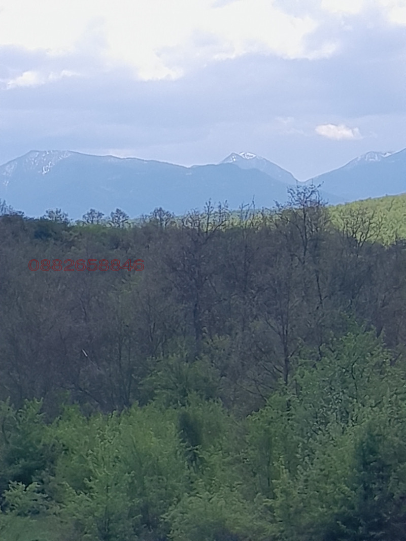 Til salgs  Plott region Sofia , Osjusja , 3500 kvm | 71556351 - bilde [7]