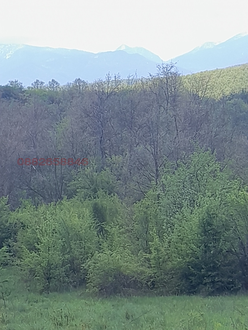 Til salgs  Plott region Sofia , Osjusja , 3500 kvm | 71556351 - bilde [4]