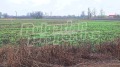 Продава ПАРЦЕЛ, област Пловдив, с. Ягодово • 215000 € • 33667889 — Holmes.bg