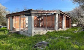 ����� ������� ����,�. ��������, ������ ������