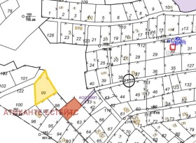 ����� ������� ������,���� �����, ��. �����