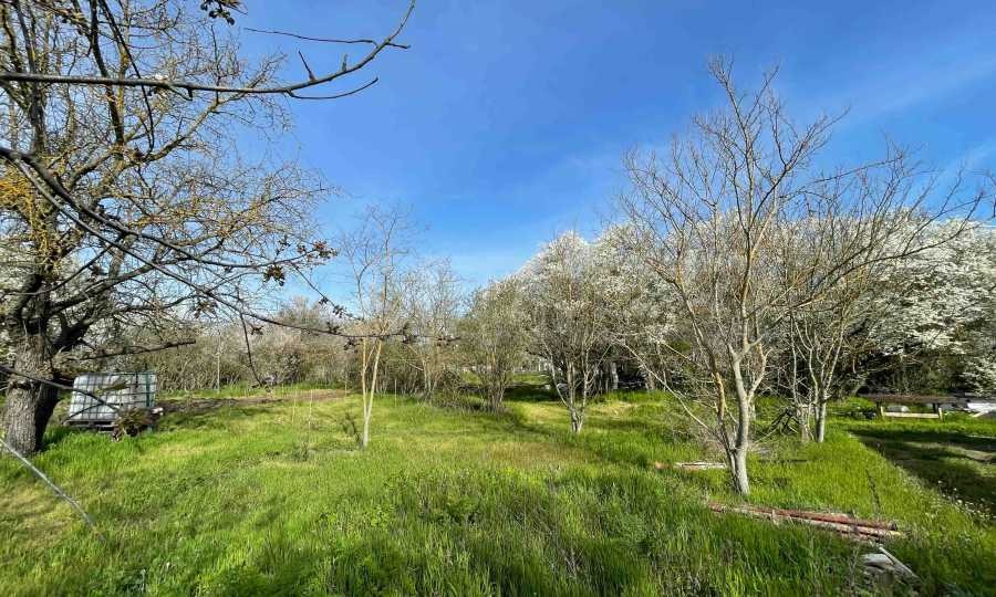 Продава КЪЩА, с. Царичино, област Добрич, снимка 11 - Къщи - 54269495