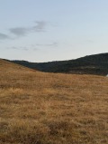 Продава ПАРЦЕЛ, с. Марково, област Пловдив, снимка 2