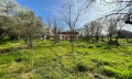 Продава КЪЩА, област Добрич, с. Царичино • 115000 € / 224920.45 лв. • 38291636 4