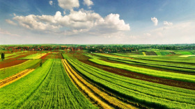 ����� ������� ���������� ����,�. ���������, ������ ������